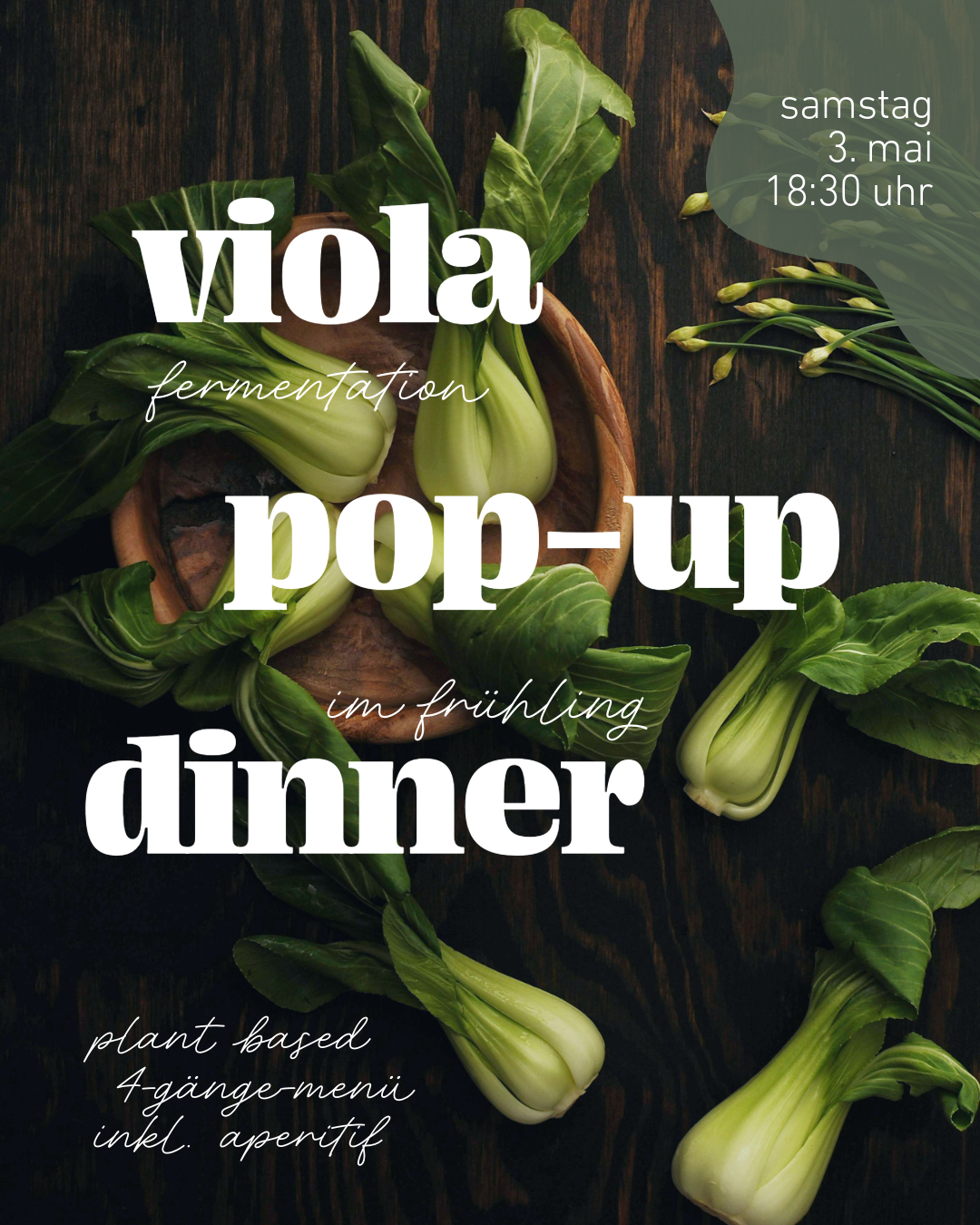 VIOLA Pop-up-Dinner – 4-Gänge-Menü Plant Based Dining
